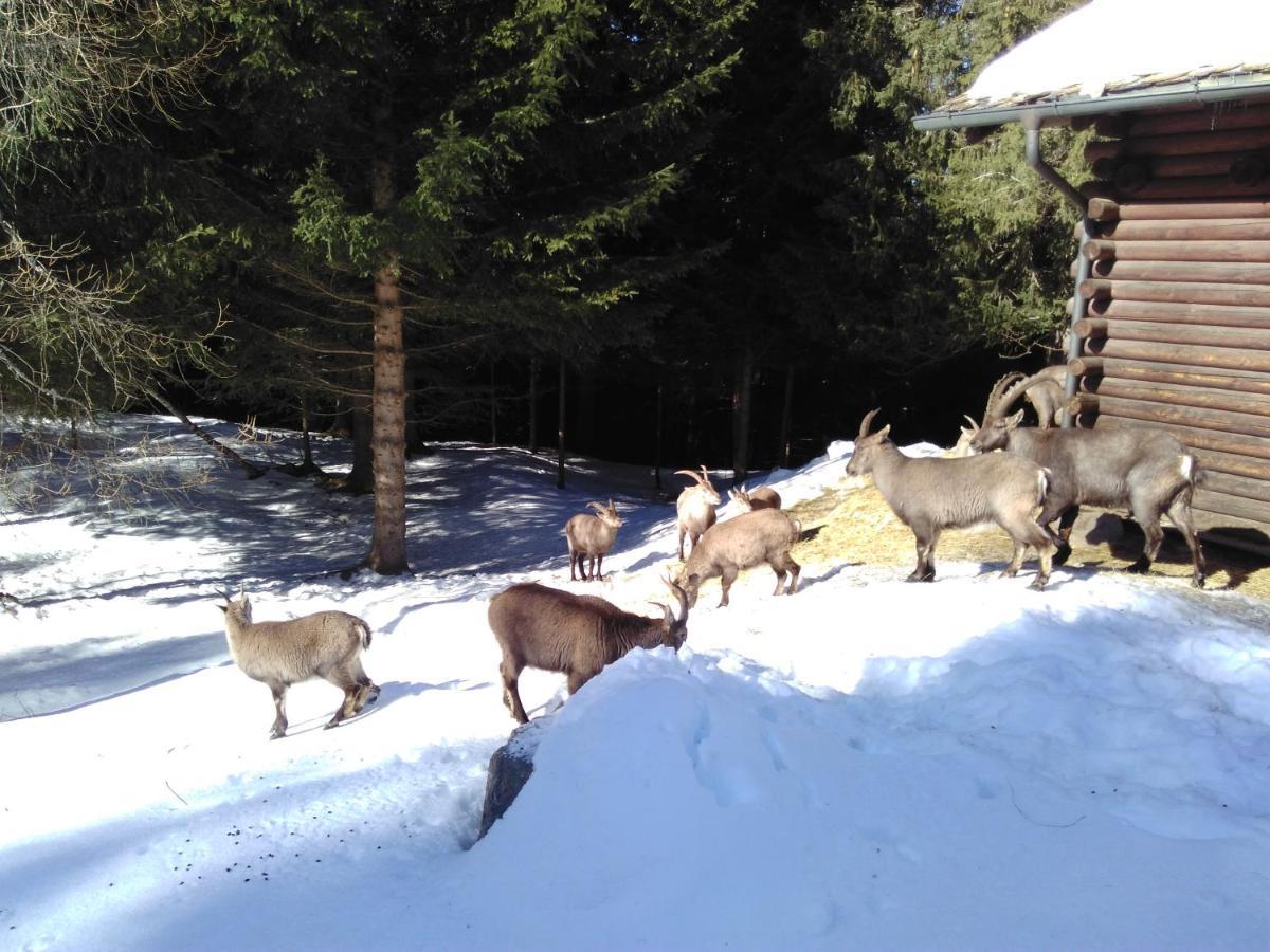 Hotel Bed & Rooms , Corte Rossa -1 Min Walk To Bernina Express تيرانو المظهر الخارجي الصورة
